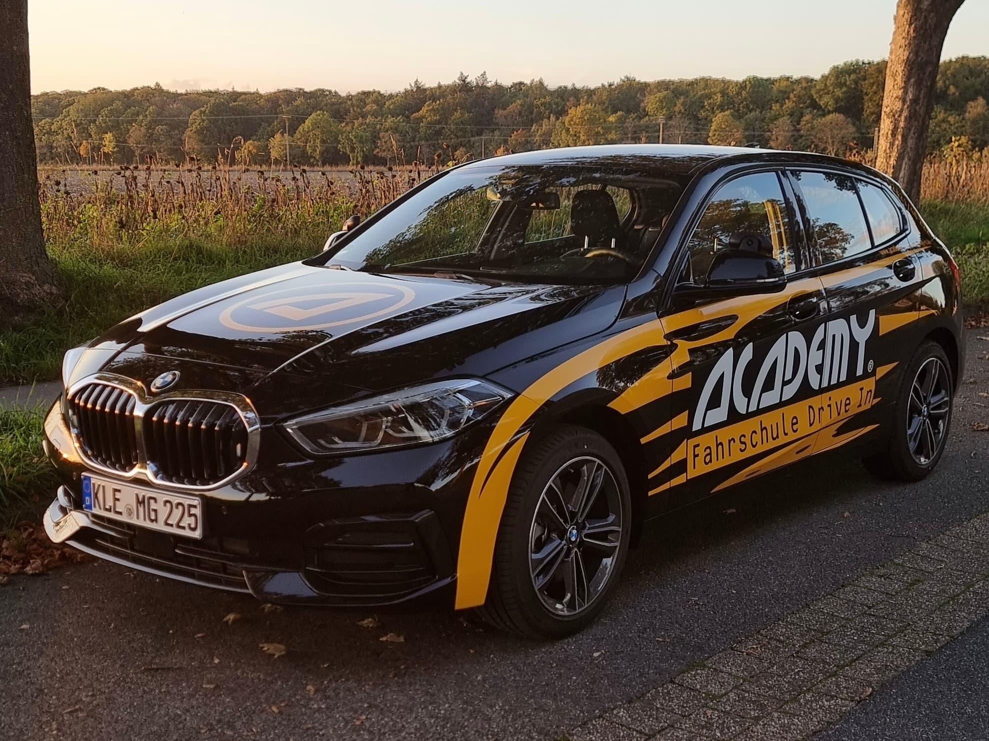 BMW 1er (2-mal)